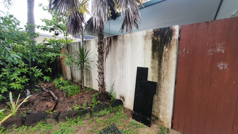 Cairns Mould Cleaning Before
